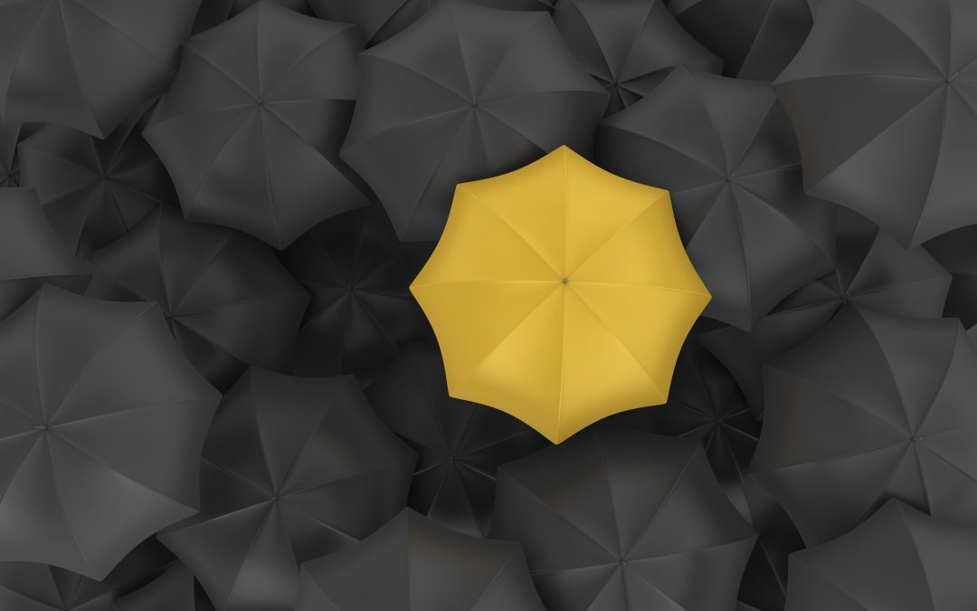 Santam – nuwe, opwindende reklameveldtog werp kollig op santam se erfenis en vooruitsigte